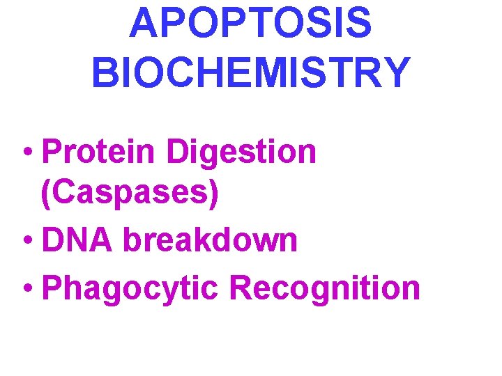 APOPTOSIS BIOCHEMISTRY • Protein Digestion (Caspases) • DNA breakdown • Phagocytic Recognition 