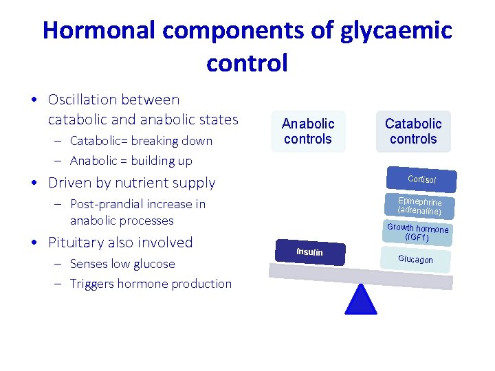 Hormonal components of glycaemic control • Oscillation between catabolic and anabolic states – Catabolic=