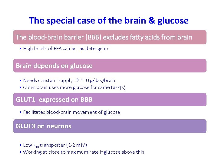 The special case of the brain & glucose The blood-brain barrier (BBB) excludes fatty