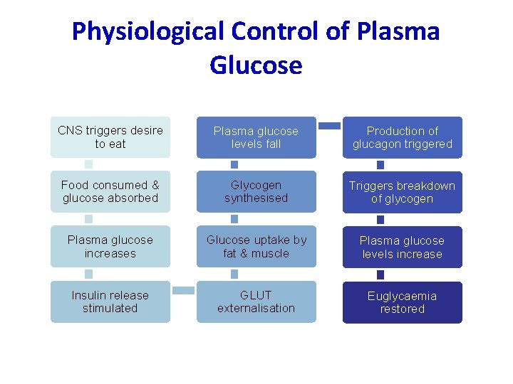 Physiological Control of Plasma Glucose CNS triggers desire to eat Plasma glucose levels fall