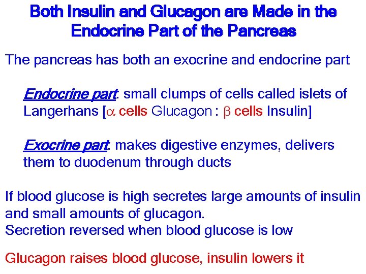 Both Insulin and Glucagon are Made in the Endocrine Part of the Pancreas The