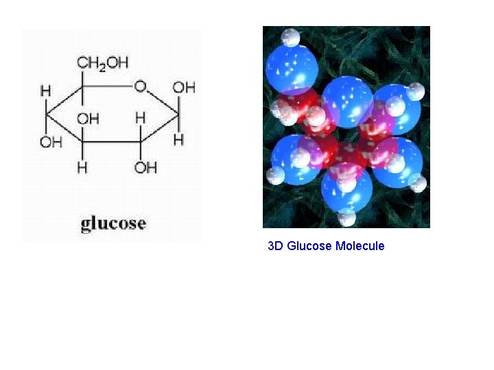 3 D Glucose Molecule 