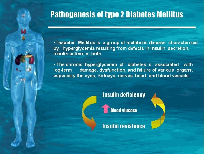 Pathogenesis of type 2 Diabetes Mellitus • Diabetes Mellitus is a group of metabolic