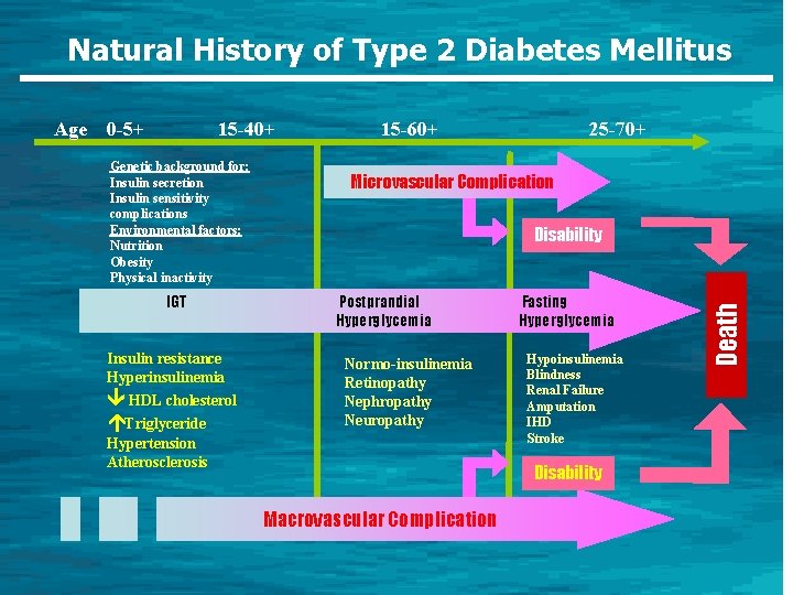 Natural History of Type 2 Diabetes Mellitus 0 -5+ 15 -40+ Genetic background for: