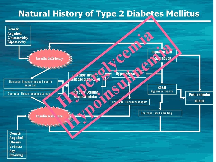 Natural History of Type 2 Diabetes Mellitus Genetic Acquired Glucotoxicity Lipotoxicity ia m a