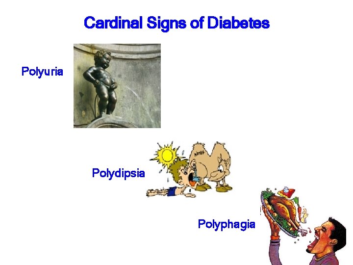 Cardinal Signs of Diabetes Polyuria Polydipsia Polyphagia 