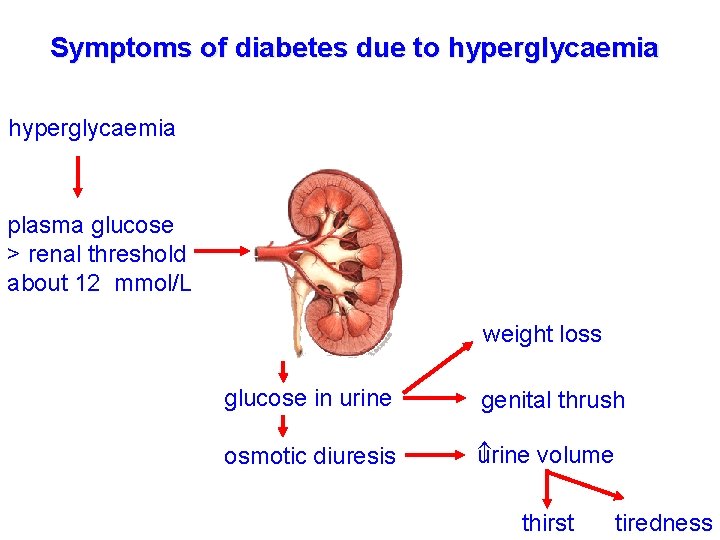 Symptoms of diabetes due to hyperglycaemia plasma glucose > renal threshold about 12 mmol/L