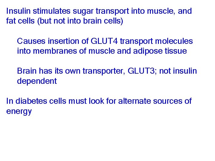 Insulin stimulates sugar transport into muscle, and fat cells (but not into brain cells)