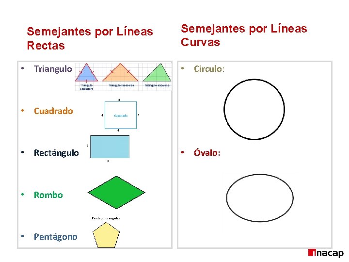 Semejantes por Líneas Rectas • Triangulo Semejantes por Líneas Curvas • Circulo: • Cuadrado