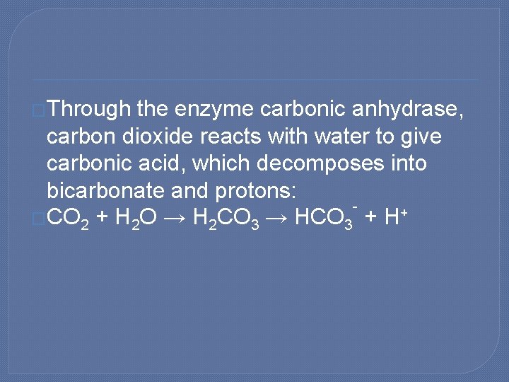 �Through the enzyme carbonic anhydrase, carbon dioxide reacts with water to give carbonic acid,