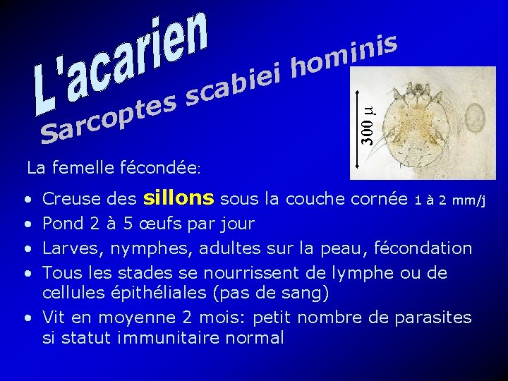 s i n mi o c r Sa 300 µ c s s pte