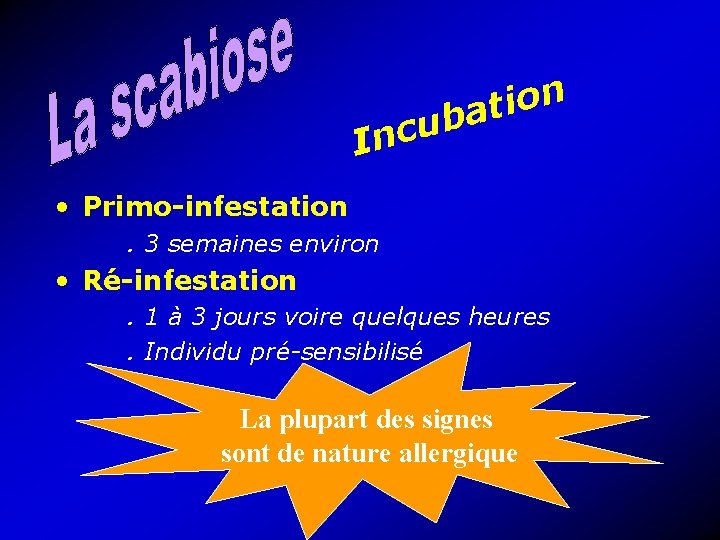 n o i t a b u c In • Primo-infestation. 3 semaines environ