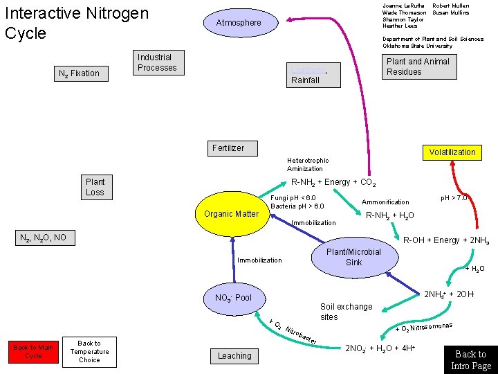 Interactive Nitrogen Cycle N 2 Fixation Joanne La. Ruffa Wade Thomason Shannon Taylor Heather
