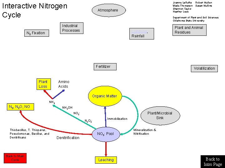 Interactive Nitrogen Cycle Atmosphere Robert Mullen Susan Mullins Department of Plant and Soil Sciences