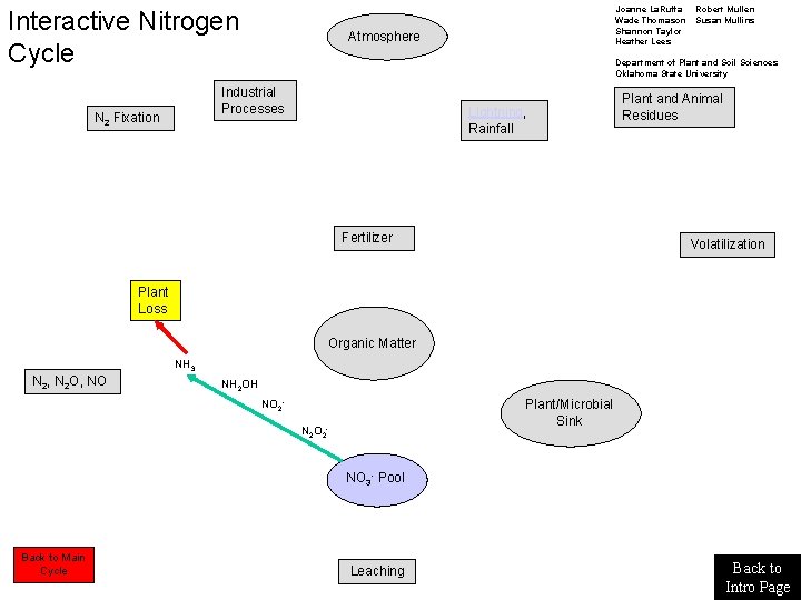 Interactive Nitrogen Cycle Atmosphere Robert Mullen Susan Mullins Department of Plant and Soil Sciences