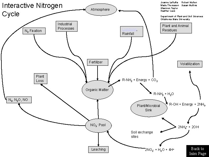 Interactive Nitrogen Cycle N 2 Fixation Joanne La. Ruffa Wade Thomason Shannon Taylor Heather