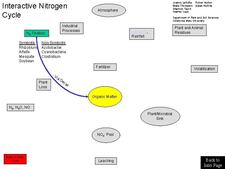 Interactive Nitrogen Cycle Symbiotic Rhizobium Alfalfa Mesquite Soybean Atmosphere Robert Mullen Susan Mullins Department