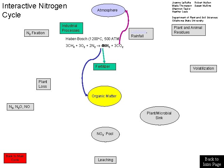 Interactive Nitrogen Cycle N 2 Fixation Joanne La. Ruffa Wade Thomason Shannon Taylor Heather