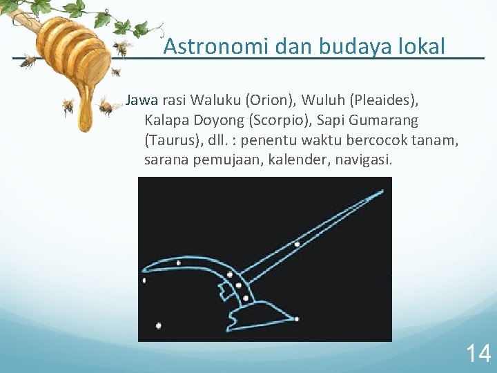 Astronomi dan budaya lokal Jawa rasi Waluku (Orion), Wuluh (Pleaides), Kalapa Doyong (Scorpio), Sapi