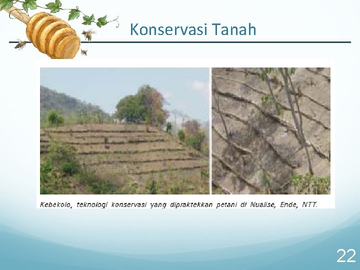 Konservasi Tanah 22 