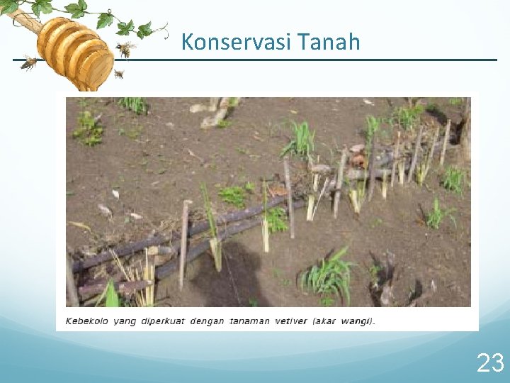 Konservasi Tanah 23 