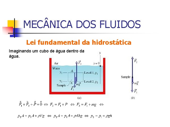 MEC NICA DOS FLUIDOS Lei fundamental da hidrostática Imaginando um cubo de água dentro