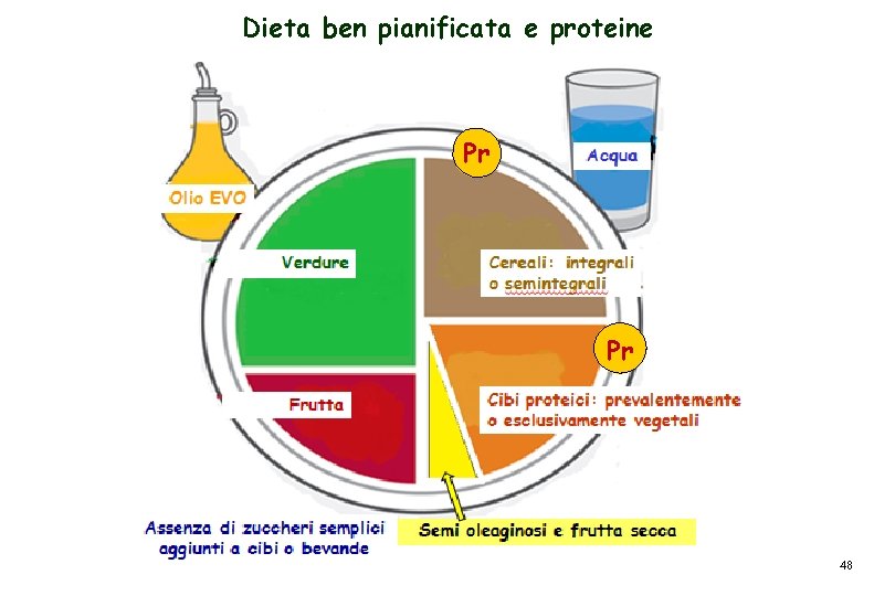 Dieta ben pianificata e proteine Pr Pr 48 