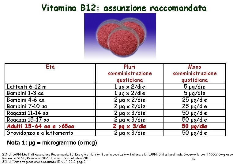 Vitamina B 12: assunzione raccomandata Età Lattanti 6 -12 m Bambini 1 -3 aa