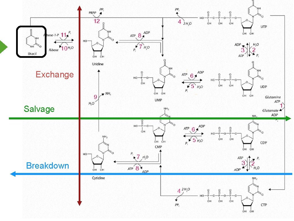 Exchange Salvage Breakdown 