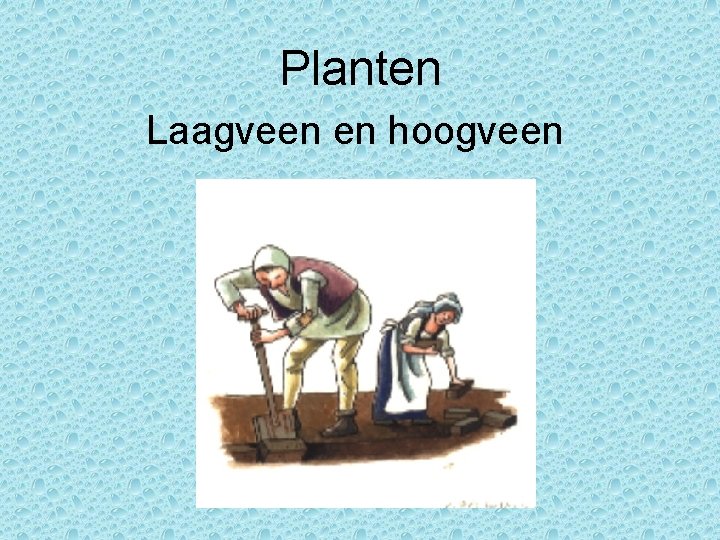 Planten Laagveen en hoogveen 