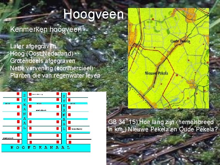Hoogveen Kenmerken hoogveen Later afgegraven Hoog (Oost Nederland) Grotendeels afgegraven Nette vervening (commercieel) Planten