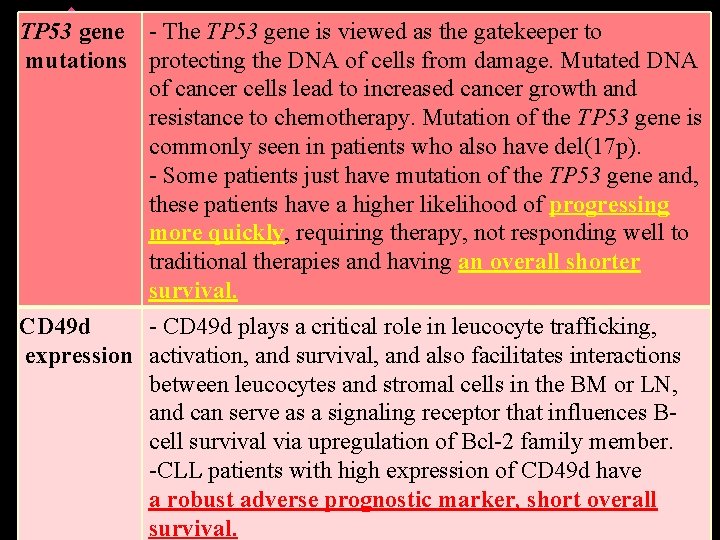 TP 53 gene - The TP 53 gene is viewed as the gatekeeper to