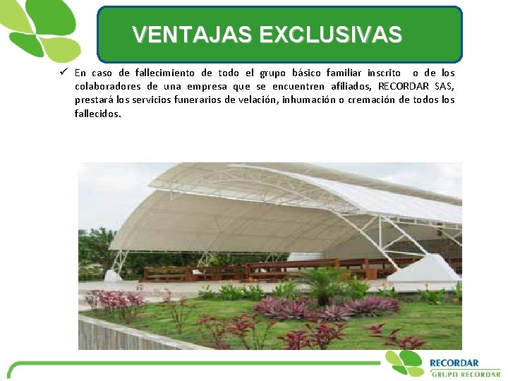 VENTAJAS EXCLUSIVAS ü En caso de fallecimiento de todo el grupo básico familiar inscrito