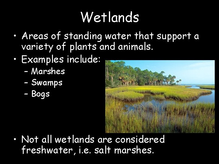 Wetlands • Areas of standing water that support a variety of plants and animals.