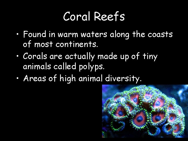 Coral Reefs • Found in warm waters along the coasts of most continents. •