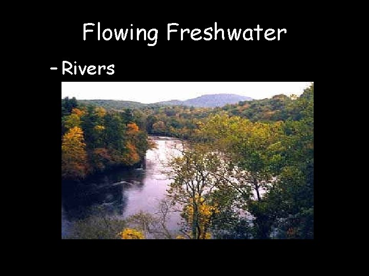 Flowing Freshwater – Rivers 