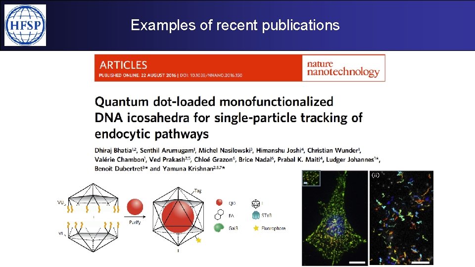 Examples of recent publications 