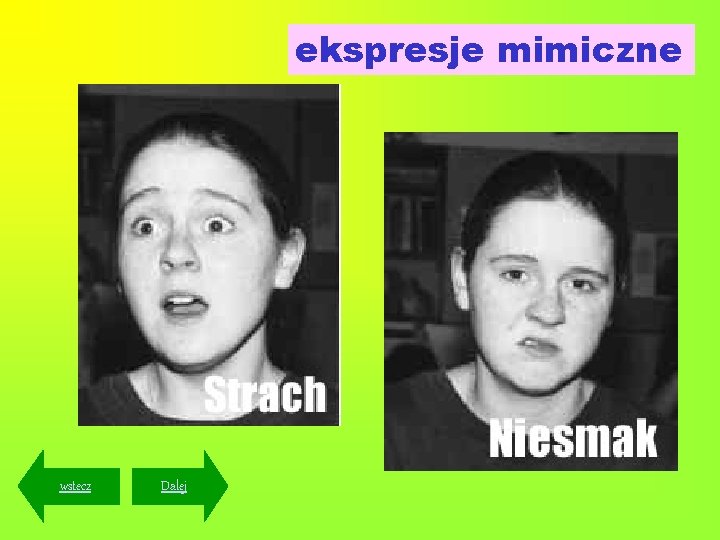 ekspresje mimiczne wstecz Dalej 