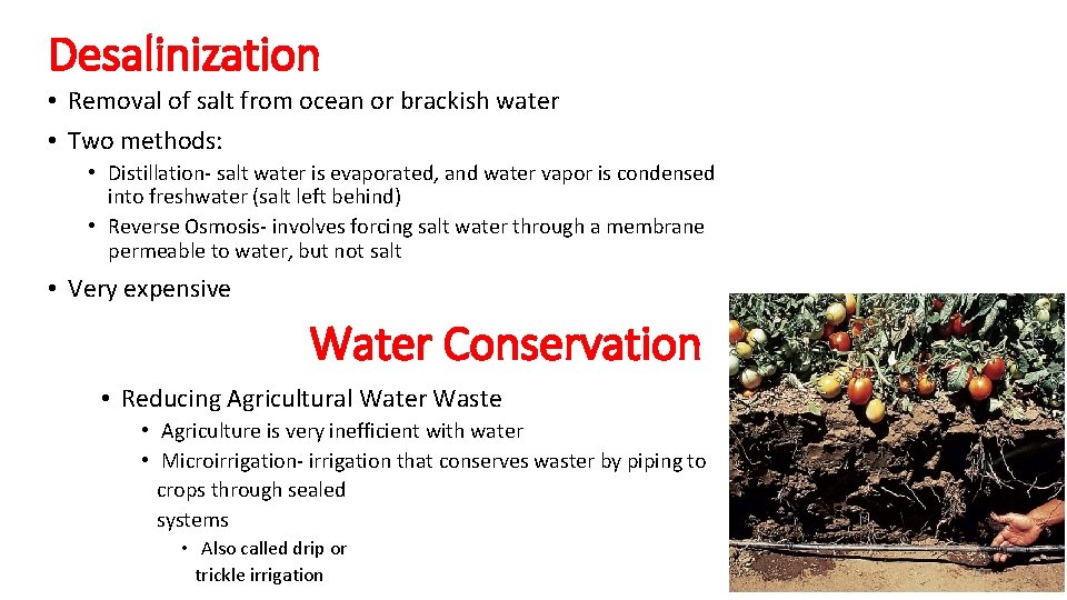 Desalinization • Removal of salt from ocean or brackish water • Two methods: •