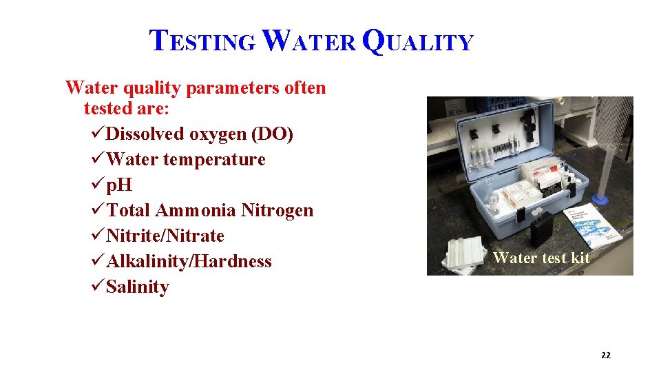 TESTING WATER QUALITY Water quality parameters often tested are: üDissolved oxygen (DO) üWater temperature