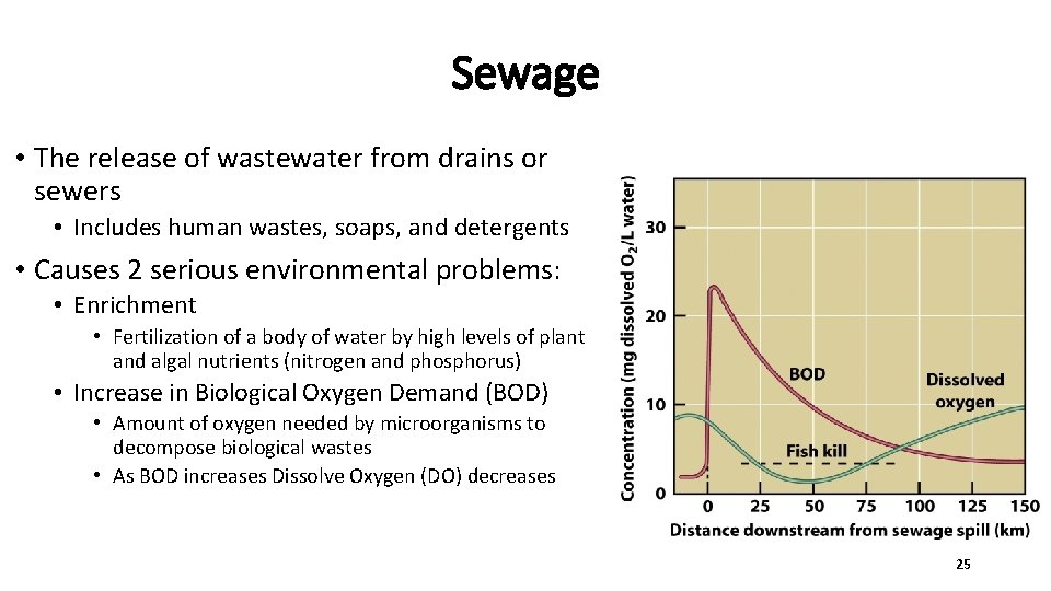 Sewage • The release of wastewater from drains or sewers • Includes human wastes,