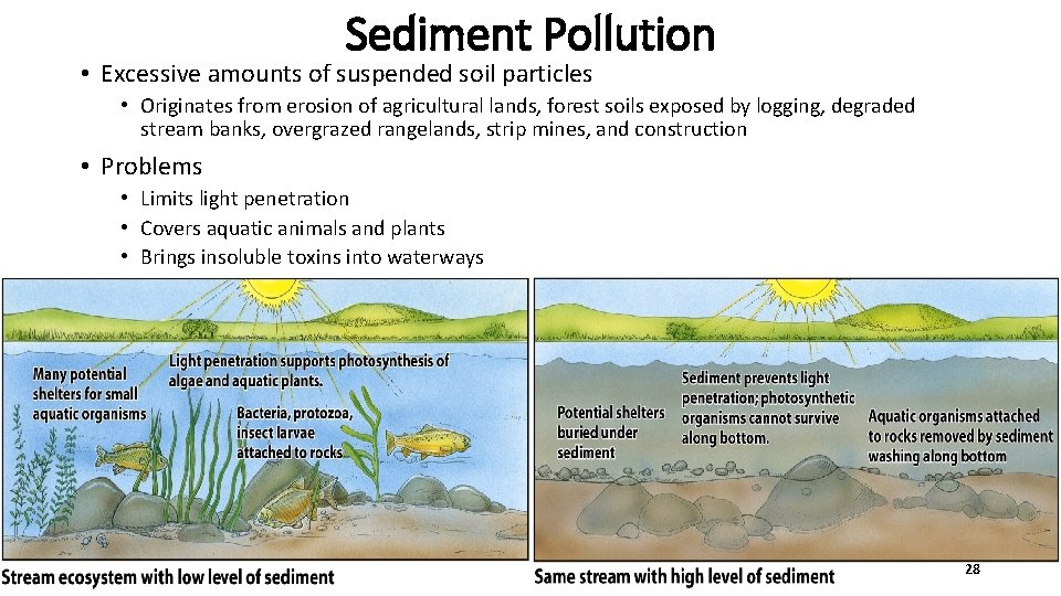 Sediment Pollution • Excessive amounts of suspended soil particles • Originates from erosion of