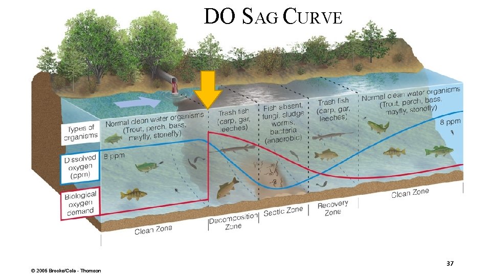 DO SAG CURVE 37 