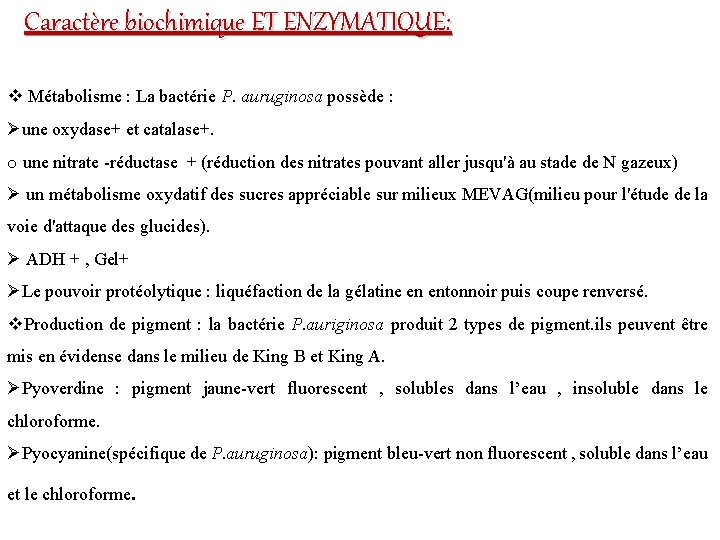 Caractère biochimique ET ENZYMATIQUE: v Métabolisme : La bactérie P. auruginosa possède : Øune