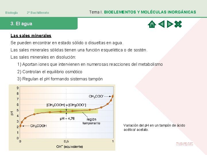 Biología 2º Bachillerato Tema I. BIOELEMENTOS Y MOLÉCULAS INORGÁNICAS 3. El agua Las sales