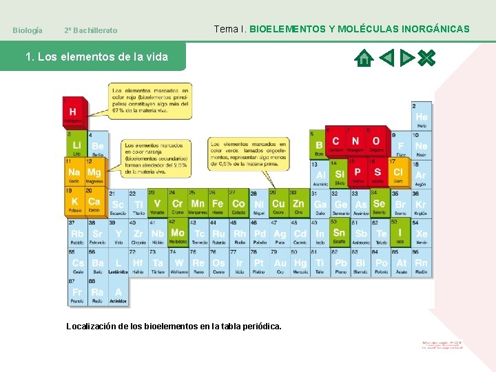 Biología 2º Bachillerato Tema I. BIOELEMENTOS Y MOLÉCULAS INORGÁNICAS 1. Los elementos de la