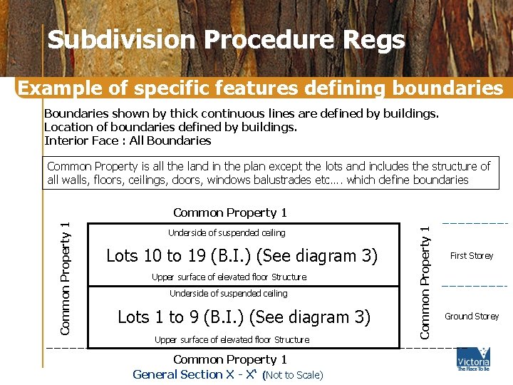 Subdivision Procedure Regs Example of specific features defining boundaries Boundaries shown by thick continuous