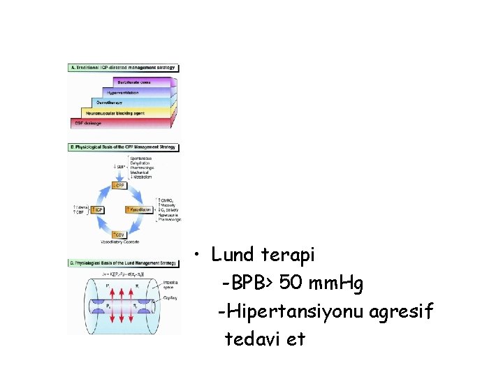  • Lund terapi -BPB> 50 mm. Hg -Hipertansiyonu agresif tedavi et 