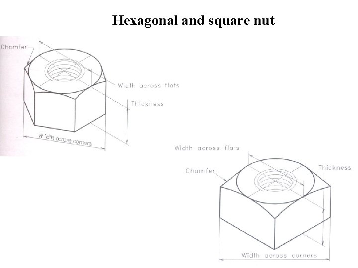 Hexagonal and square nut 