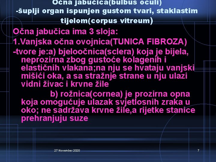 Očna jabučica(bulbus oculi) -šuplji organ ispunjen gustom tvari, staklastim tijelom(corpus vitreum) Očna jabučica ima